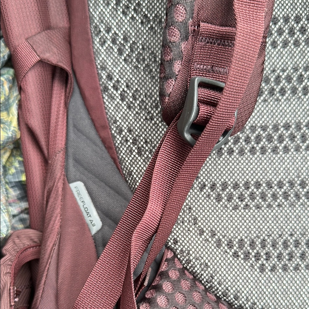 Gregory Maroon Women’s Deva 60 + Raincover - Picture 7 of 8